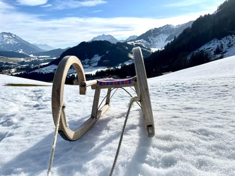 Bioberghof Rohr Farm Stay in Kitzbuhel