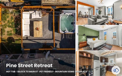 Stylish 1BR Airbnb in Leadville with Mountain Views - Near Skiing - Pets okay House in Leadville