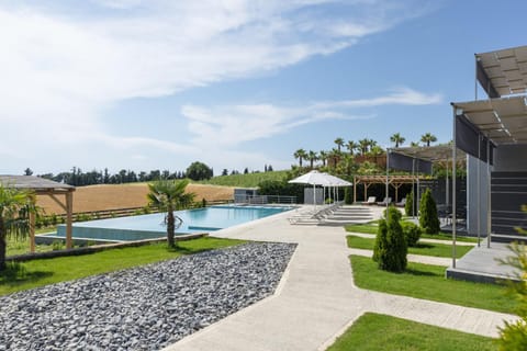 Garden, Swimming pool, Inner courtyard view