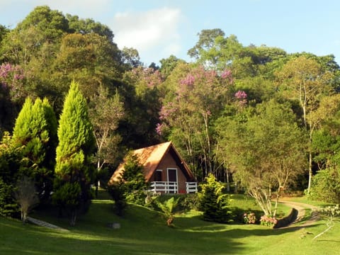 Property building, Day, Garden