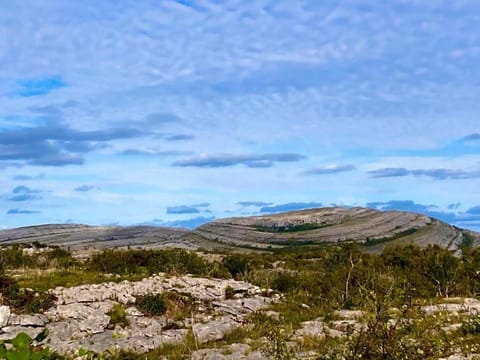 New studio near Lahinch, Doolin & Cliffs of Moher Apartment in County Clare