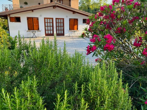 Property building, Natural landscape