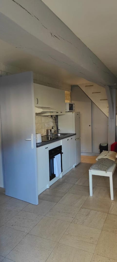 Appartement terasse Apartment in Saint-Maur-des-Fossés