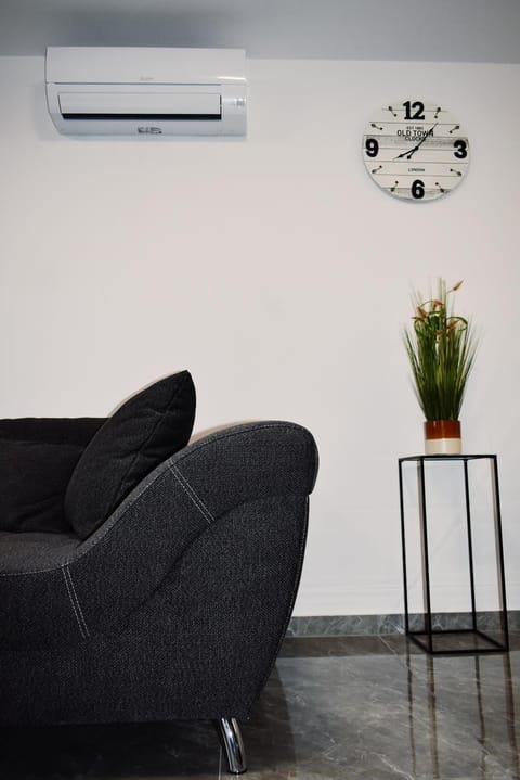 Living room, Decorative detail, air conditioner