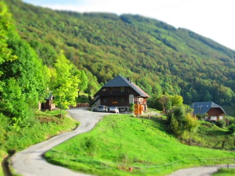 Property building, Neighbourhood, Mountain view