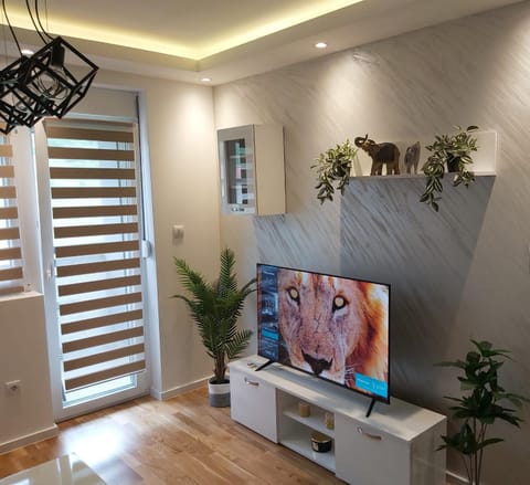 TV and multimedia, Evening entertainment