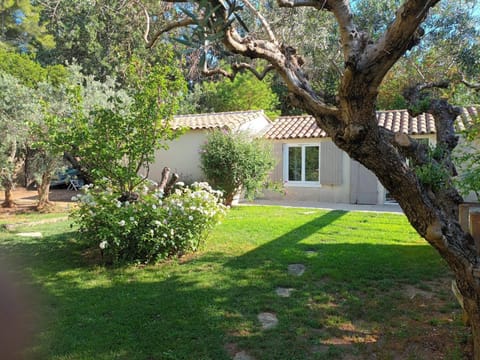 Natural landscape, Garden, Garden view