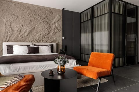 Bed, Living room, Photo of the whole room, Seating area