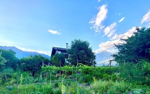 Appartement Hortensia - Haus Midi Apartment in Trentino-South Tyrol