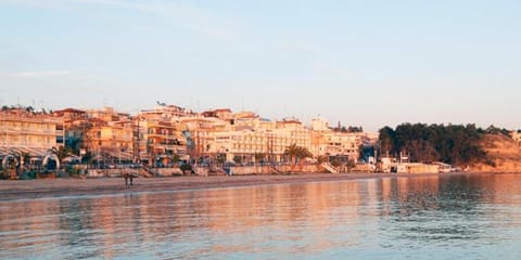 Vasiliki's Apartment Apartment in Halkidiki