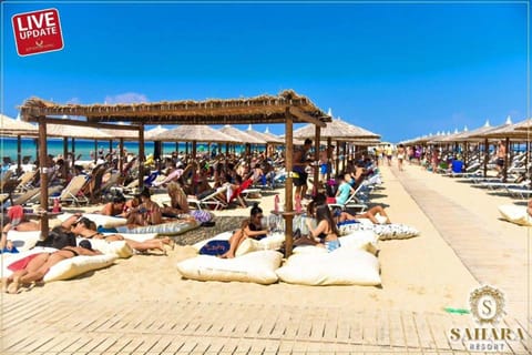 Vasiliki's Apartment Apartment in Halkidiki