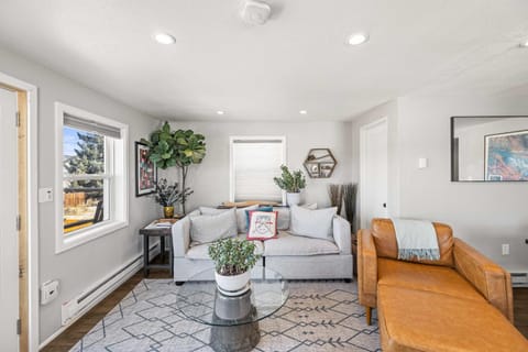 Leadville Dairy Flat - 2 Bed with Office and HOT TUB House in Leadville