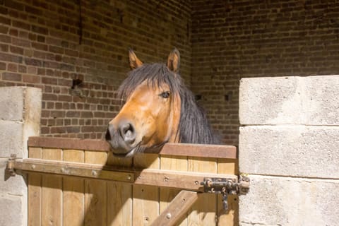 Chez mumu Bed and Breakfast in Hauts-de-France