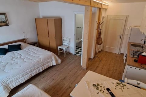 Nonna Clara, monolocale Apartment in Friuli-Venezia Giulia