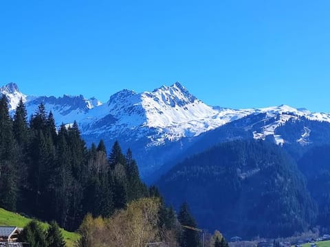 Nearby landmark, Mountain view