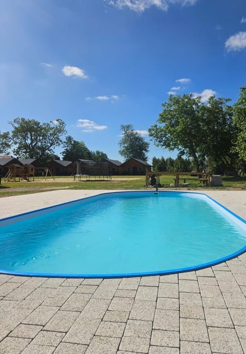 Day, People, Pool view, Swimming pool, group of guests