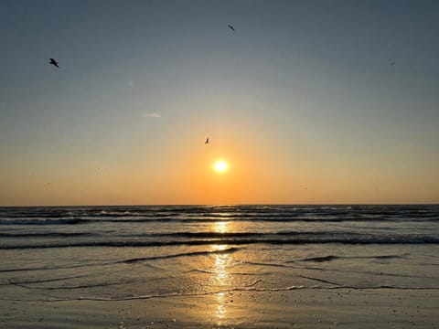 Beach, Beach