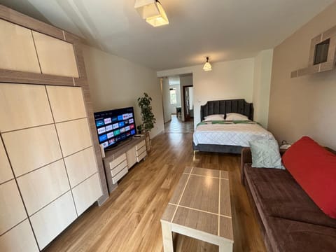 Communal lounge/ TV room, Bed, TV and multimedia, Photo of the whole room, Evening entertainment, Bedroom