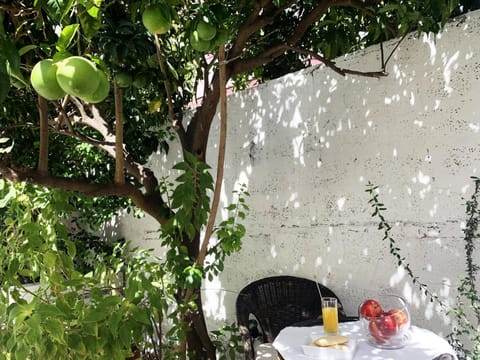 Patio, Garden, Garden view, Breakfast