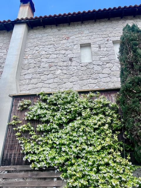 Sea and Stone Villa House in Halkidiki