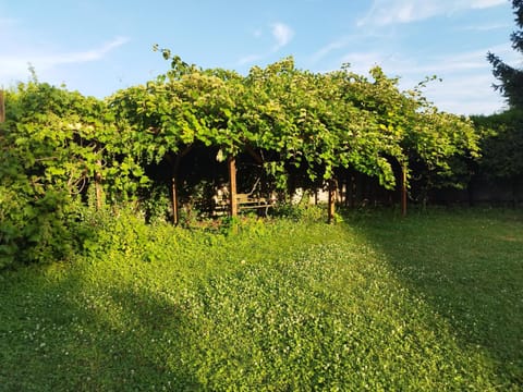 RIVER side - cosy - lot of space Apartment in Weil am Rhein