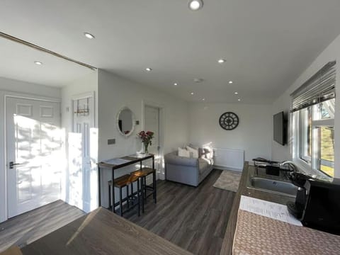 Bed, TV and multimedia, Kitchen or kitchenette, Living room, Photo of the whole room, Seating area, Dining area