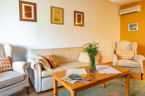 Living room, Seating area, air conditioner
