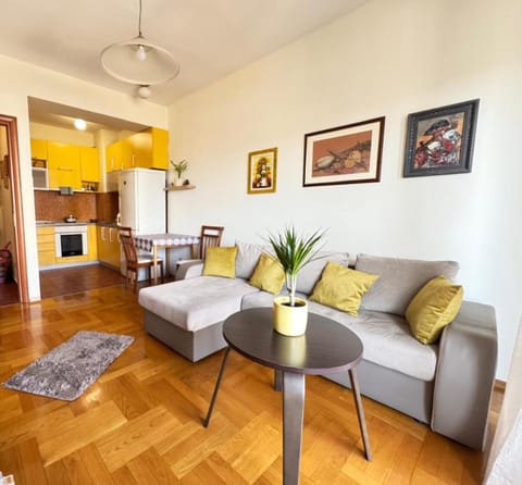 Sunny place Apartment in Podgorica