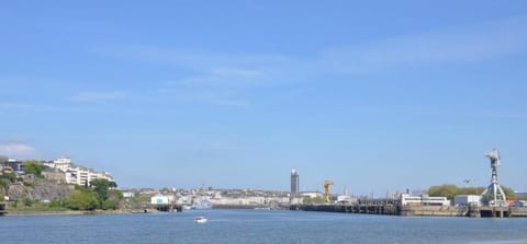 Appartement - Galerie BOTANIC ART Trentemoult Apartment in Rezé