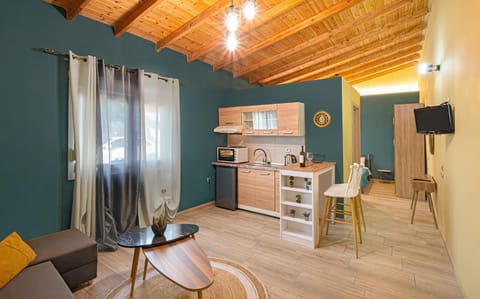 Kitchen or kitchenette, Living room, Seating area, Dining area, stove