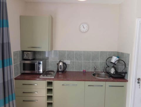 Coffee/tea facilities, Kitchen or kitchenette, minibar, stove, toaster