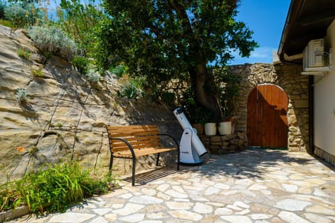 Patio, Garden, Garden view