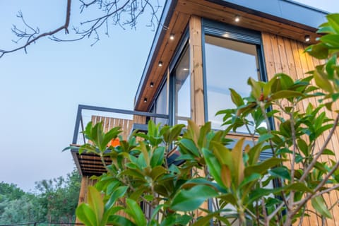 Property building, Garden, Garden view