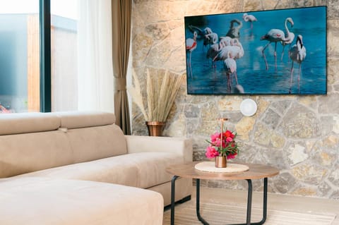 TV and multimedia, Living room, Photo of the whole room, Decorative detail, Seating area