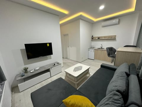 TV and multimedia, Living room, Seating area, air conditioner