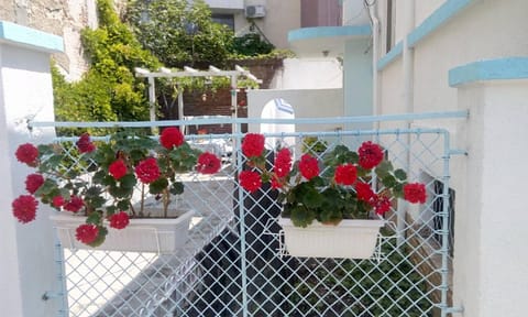 Patio, Garden view