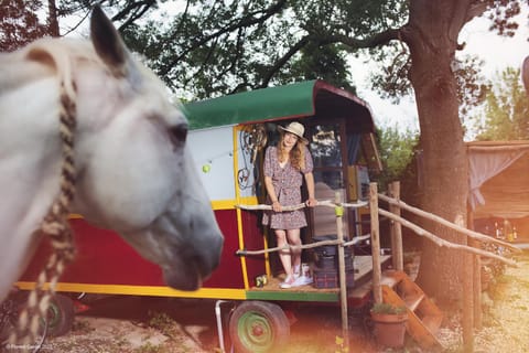 Authentique roulotte en Camargue Luxury tent in Arles