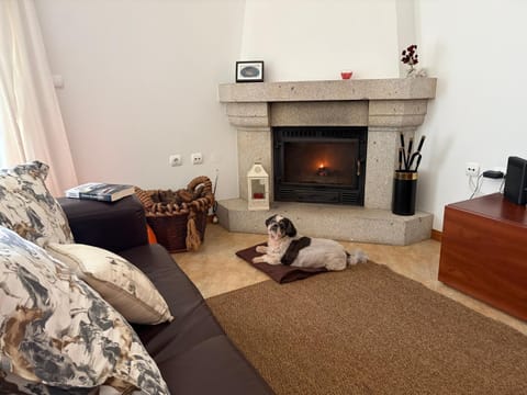 Seating area, Pets, fireplace