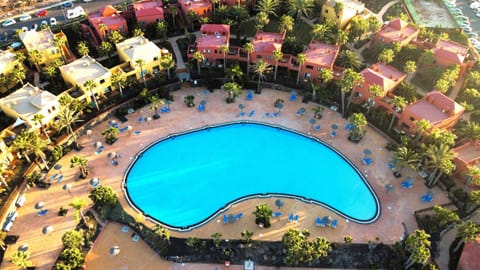 Bird's eye view, Pool view, Swimming pool, sunbed
