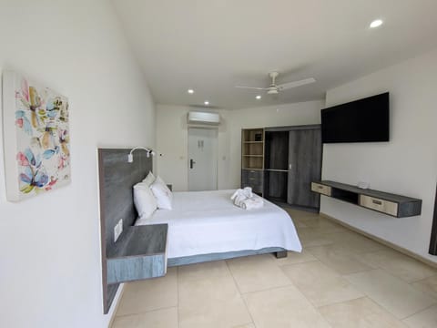 Bed, TV and multimedia, Photo of the whole room, air conditioner