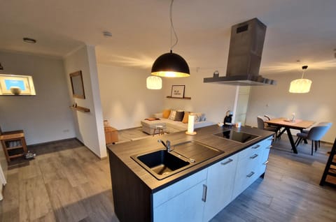 Kitchen or kitchenette, Living room, Seating area, Dining area, stove