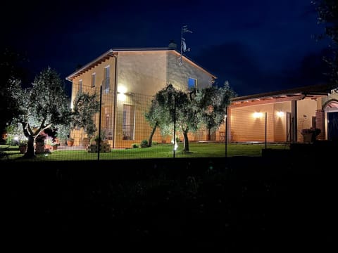 Night, Natural landscape, Garden view