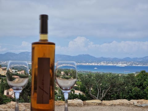 Mountain view, Sea view