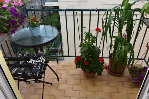 Patio, Pets