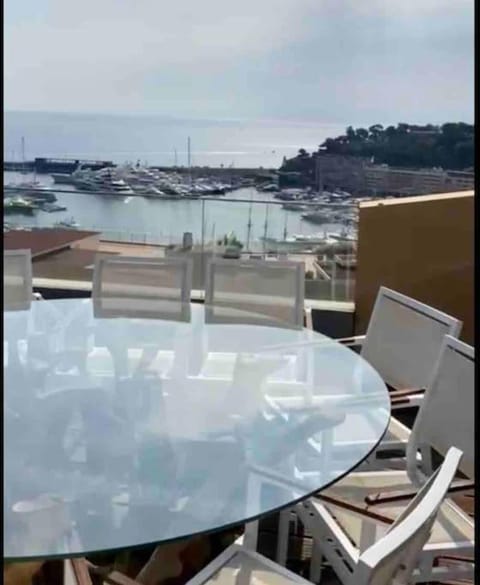 Penthouse Roof 6 pieces à Monaco Apartment in Monaco