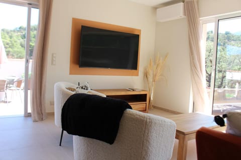 Communal lounge/ TV room, TV and multimedia, Living room