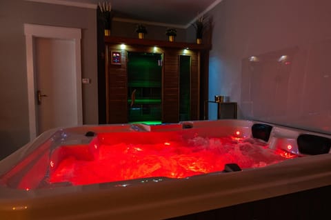 Level 2 Spa Apartman Apartment in Vojvodina