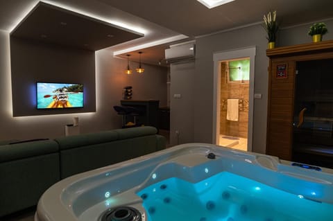 Level 2 Spa Apartman Apartment in Vojvodina