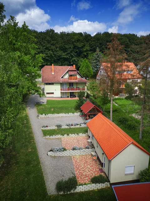 Spring, Natural landscape, Bird's eye view, Mountain view, Street view