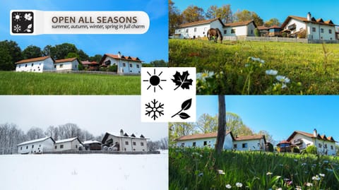 Property building, Spring, Winter, Summer, Autumn